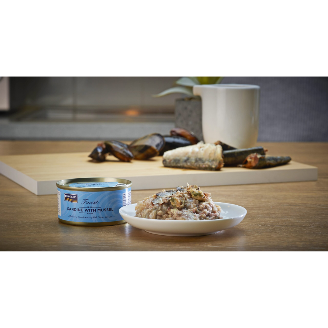 The Fish 4 Cats Sardine & cat food served on a plate with a soft, fish consistency, there are chunks of mussels too. The tin is beside the bowl. There is Sardines and mussels on display in the background.