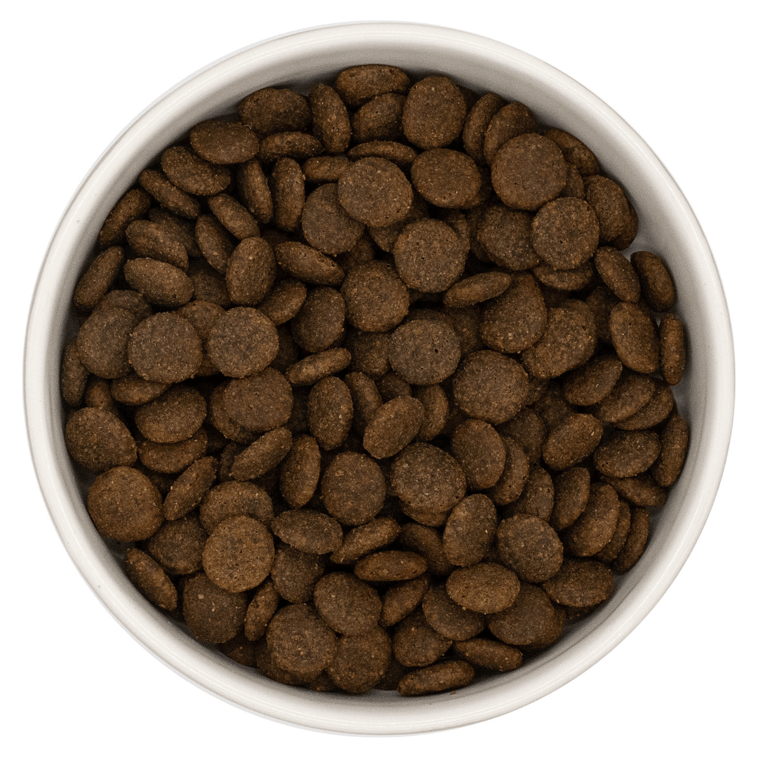 Nourish Rite Grain Free Adult Dog Food - Pork