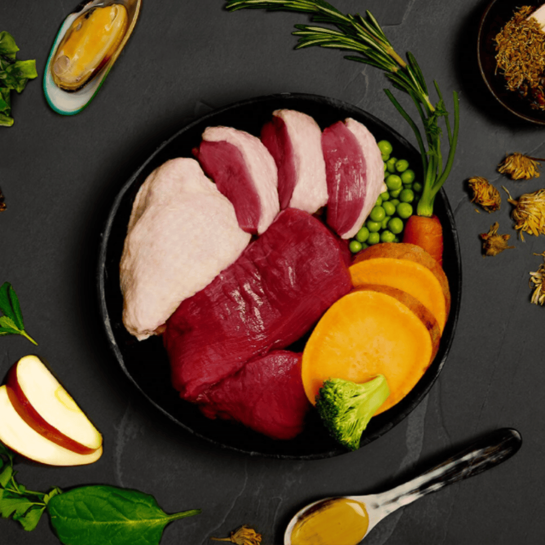 A bowl showing all the fresh ingredients used for Canagan Country Game Wet Dog Food 400g. There are other functional additions placed around the bowl including green lipped mussels.