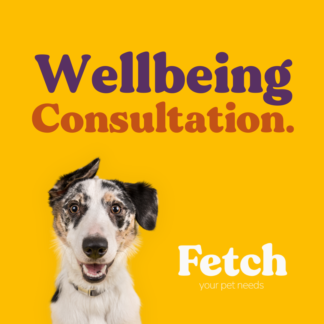 Wellbeing Consultation
