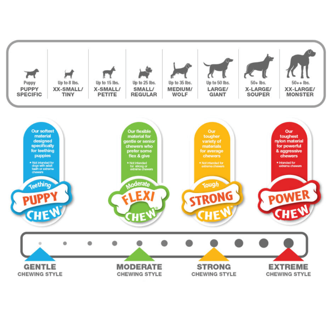 Nylabone Puppy Bone Starter Kit
