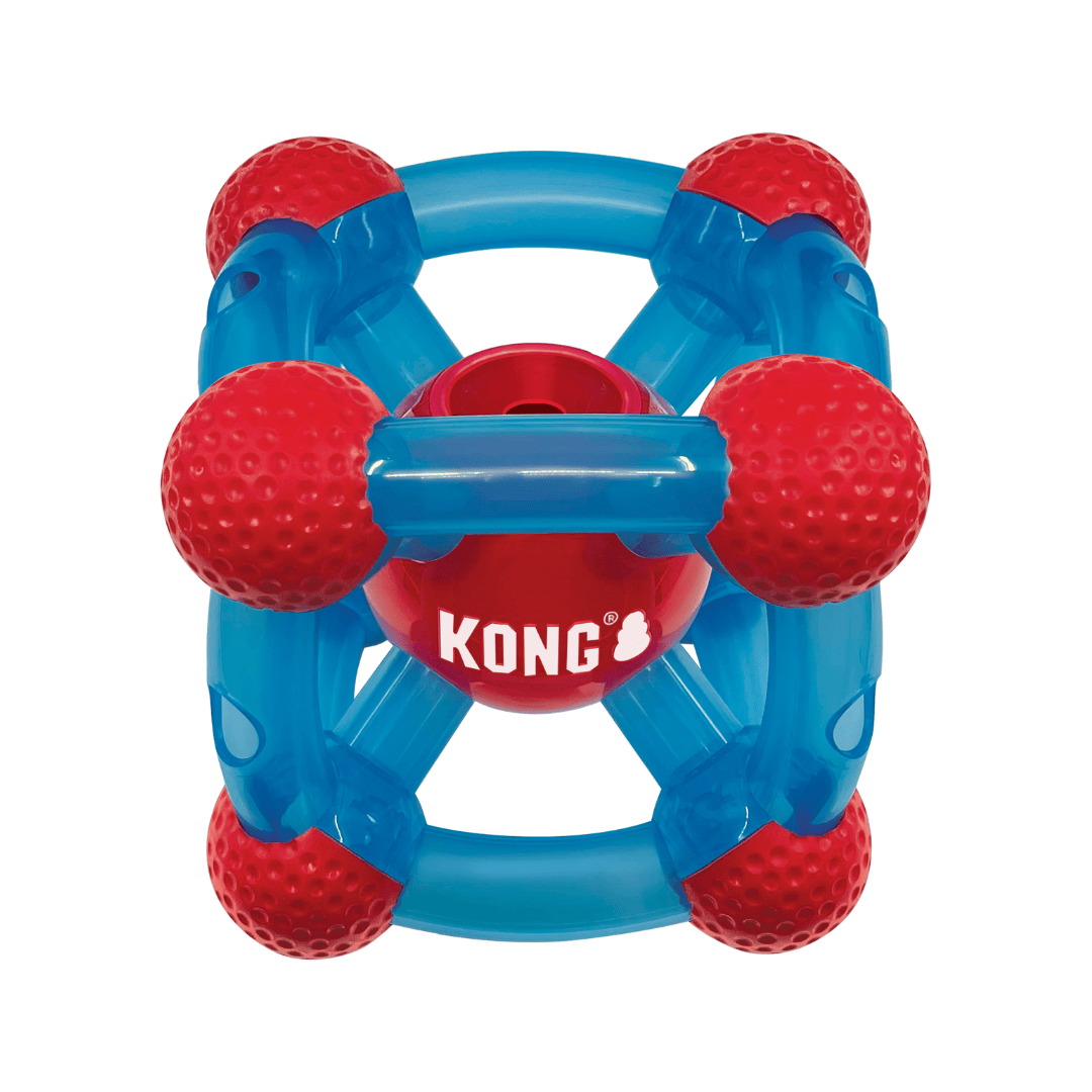 Kong Rewards Ticker Treat Dispenser.