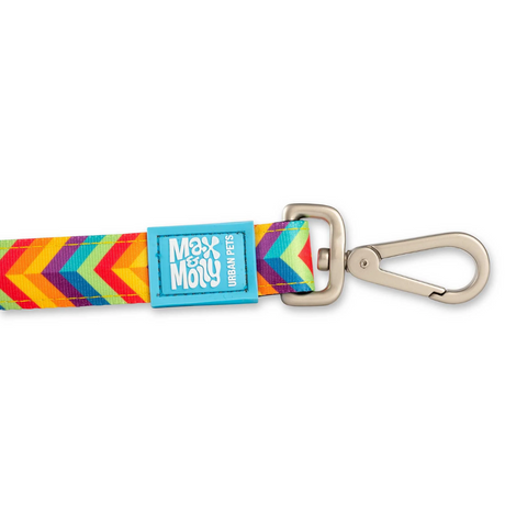 Up close view of the carabiner clip on the Max and Molly Summertime lead
