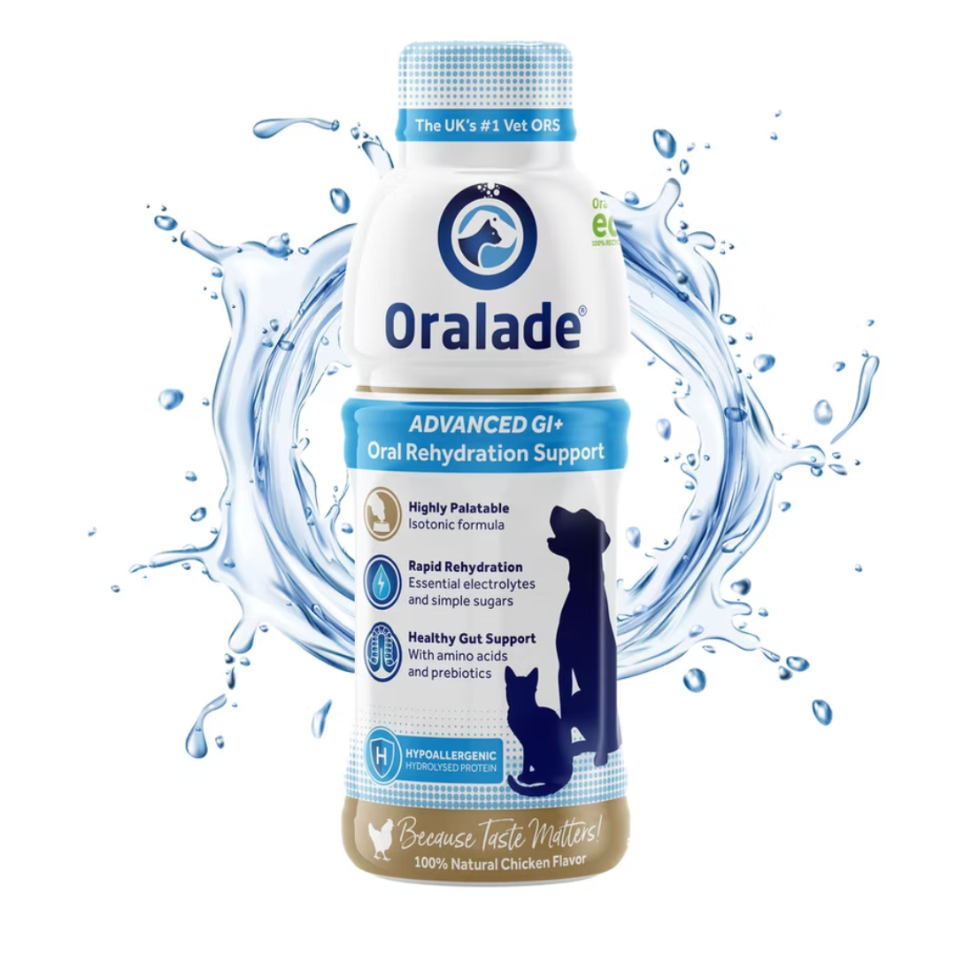 Oralade Advanced GI+ 500ml against a white background. There is a splash of water surrounding the bottle.