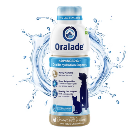 Oralade Advanced GI+ 500ml against a white background. There is a splash of water surrounding the bottle.