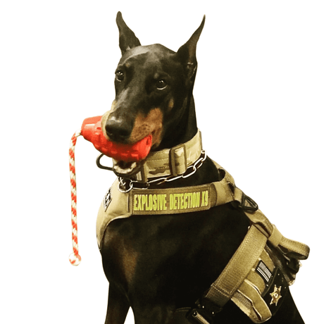 SodaPup Durable Grenade Chew and Reward Toy