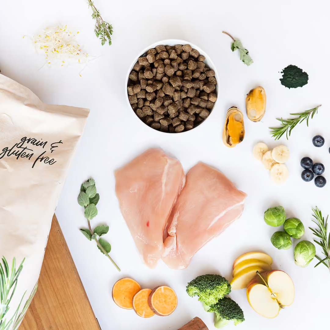 Top down view of Ydolo Chicken Semi moist dog food in a ceramic bowl, surrounded by raw ingredients including chicken, apple and spirulina.