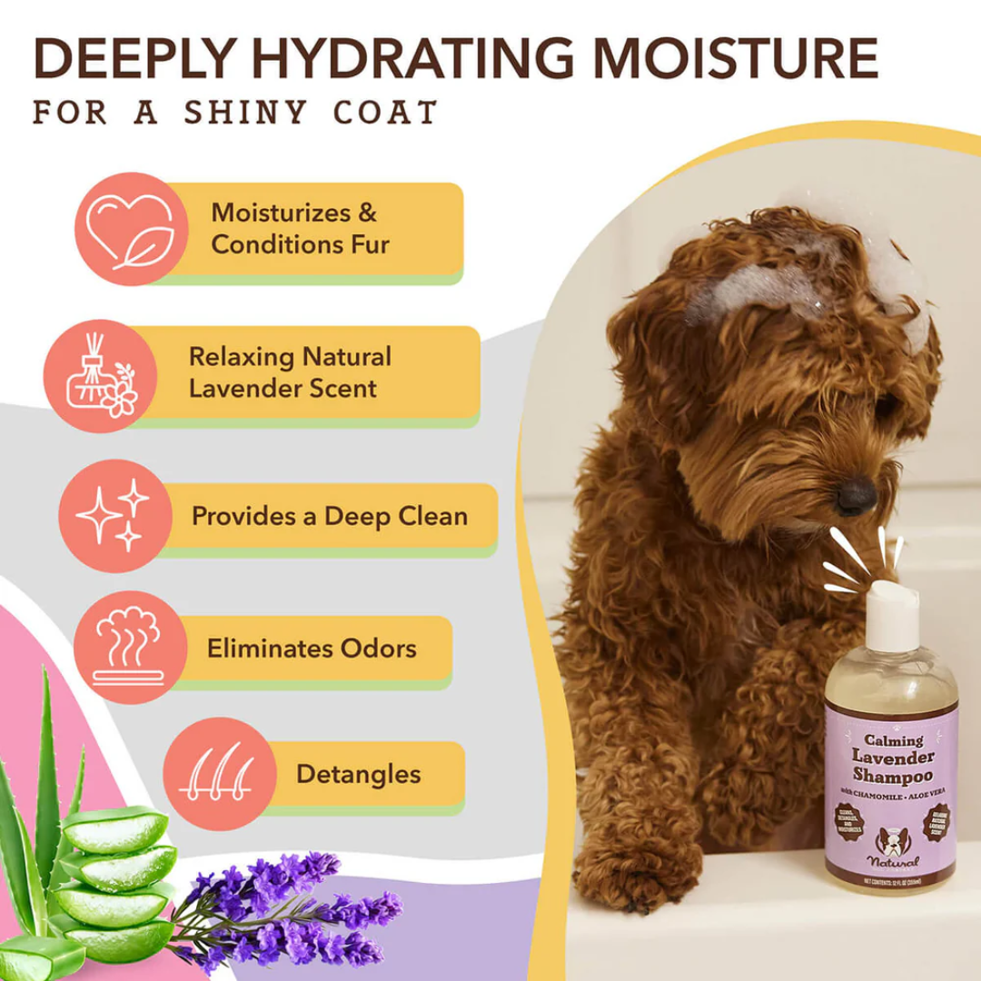 Some key benefits of the Natural Dog Company Calming Lavender Shampoo