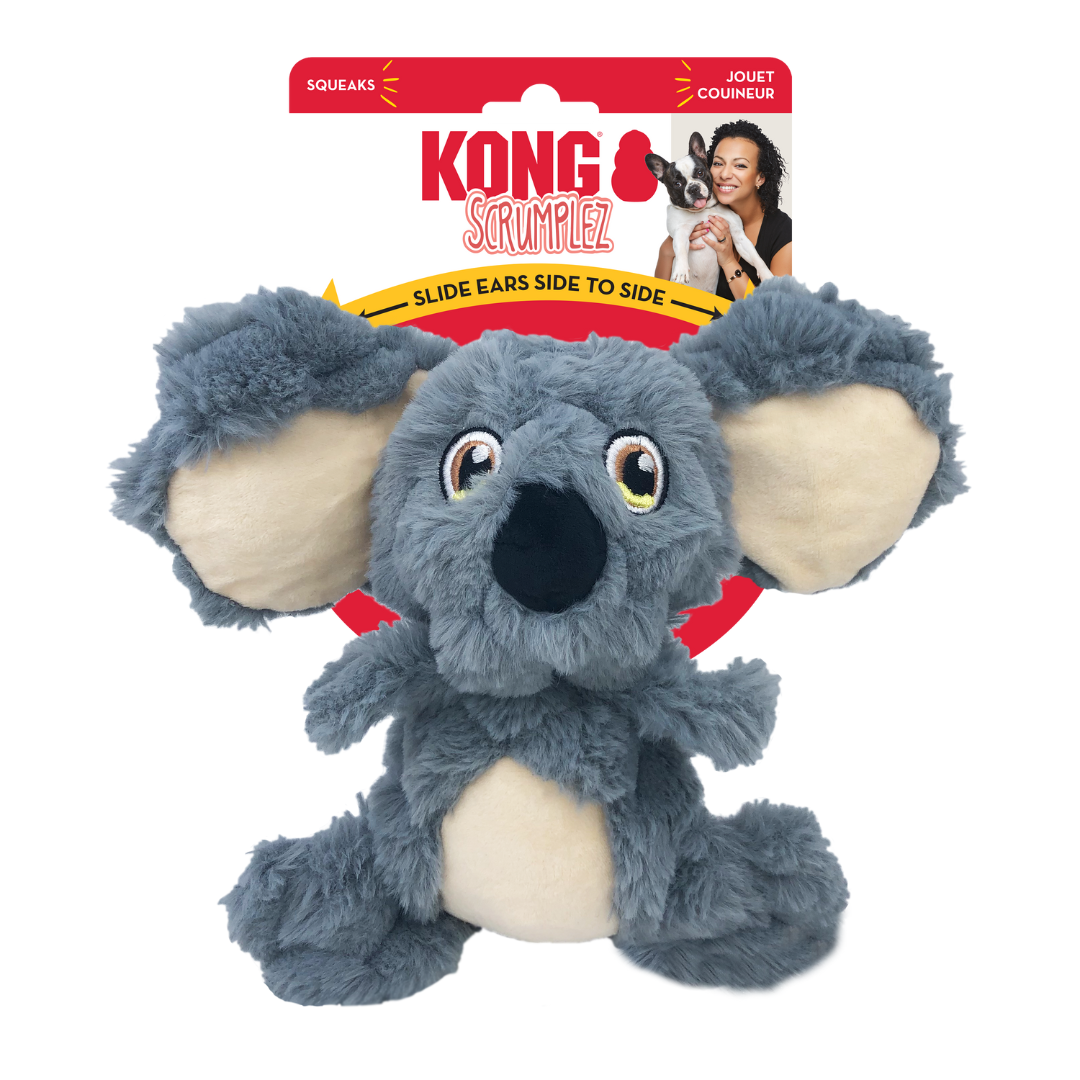 Kong Scrumplez Koala against a white background. It is still in it's packaging. Packaging explains the toy has a squeaker and the ears slide side to side.