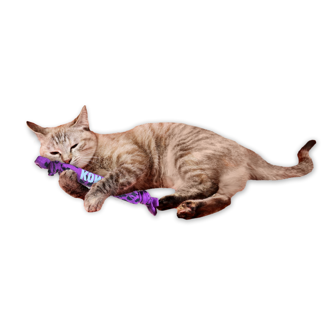 A cat playing with the Kong Kickeroo Crunch rope for cats against a white background.