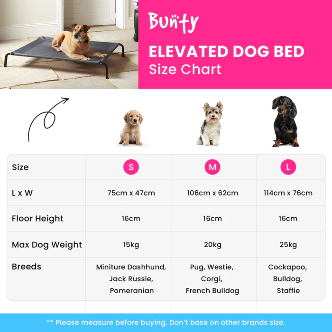 Elevated Dog Bed