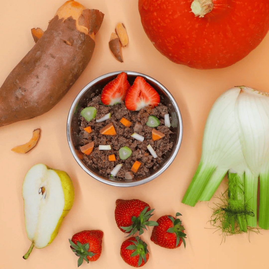 Bowl of AniForte PureNature Junior Menu Beef wet food with raw ingredients on top of the food and around the bowl