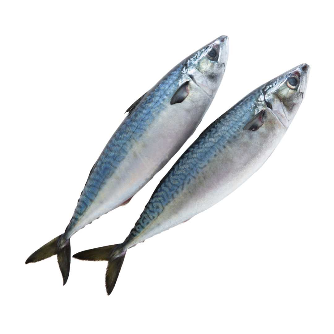 KB Raw Mackerel 1kg