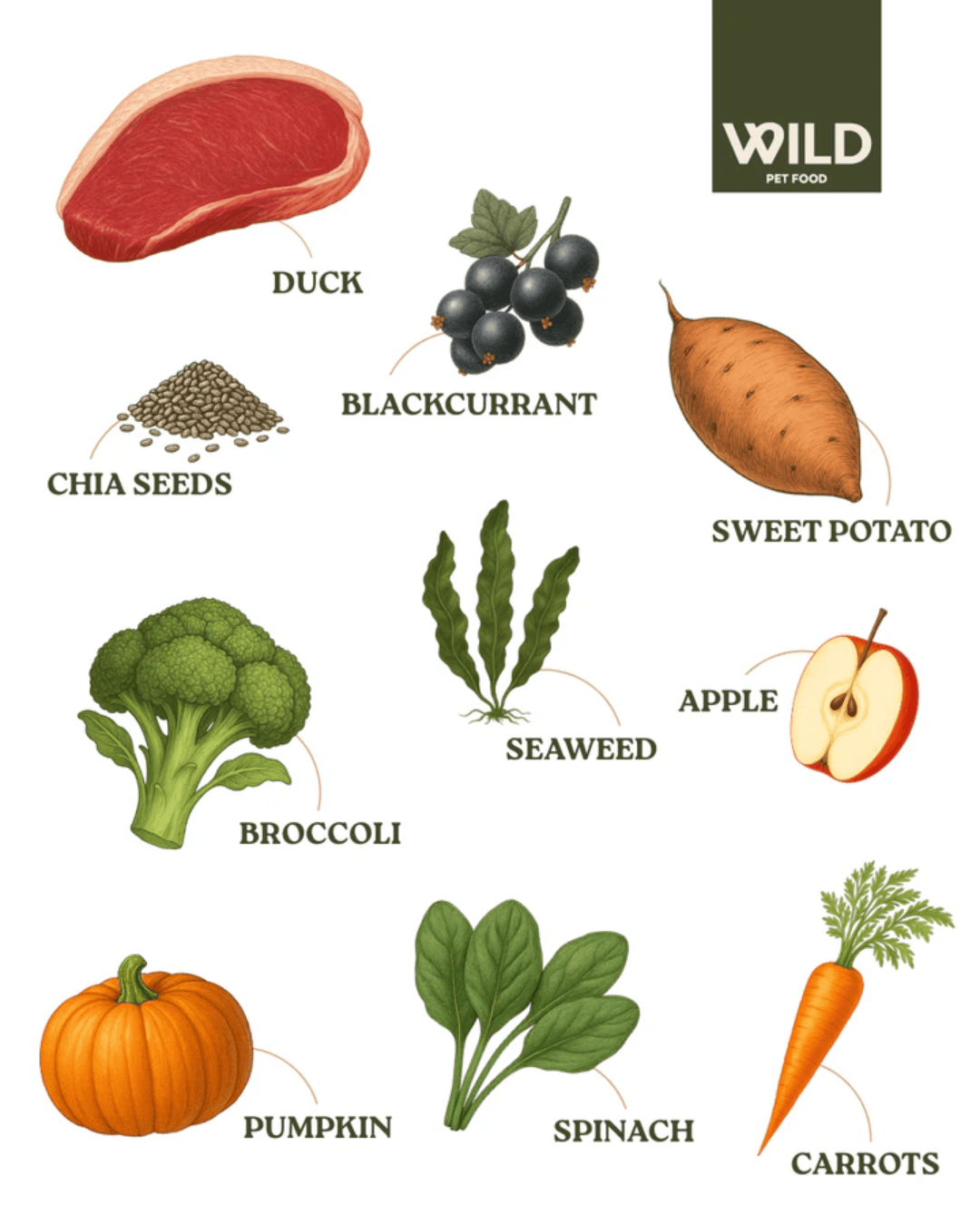Wild 80:20 Duck Cold Pressed Dog Food