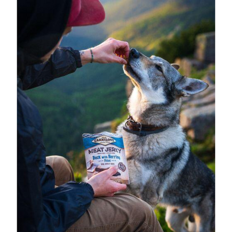 A owner feeding their dog a Duck with Herring Jerky Dog Treat. They are on a mountain range with a view behind them.