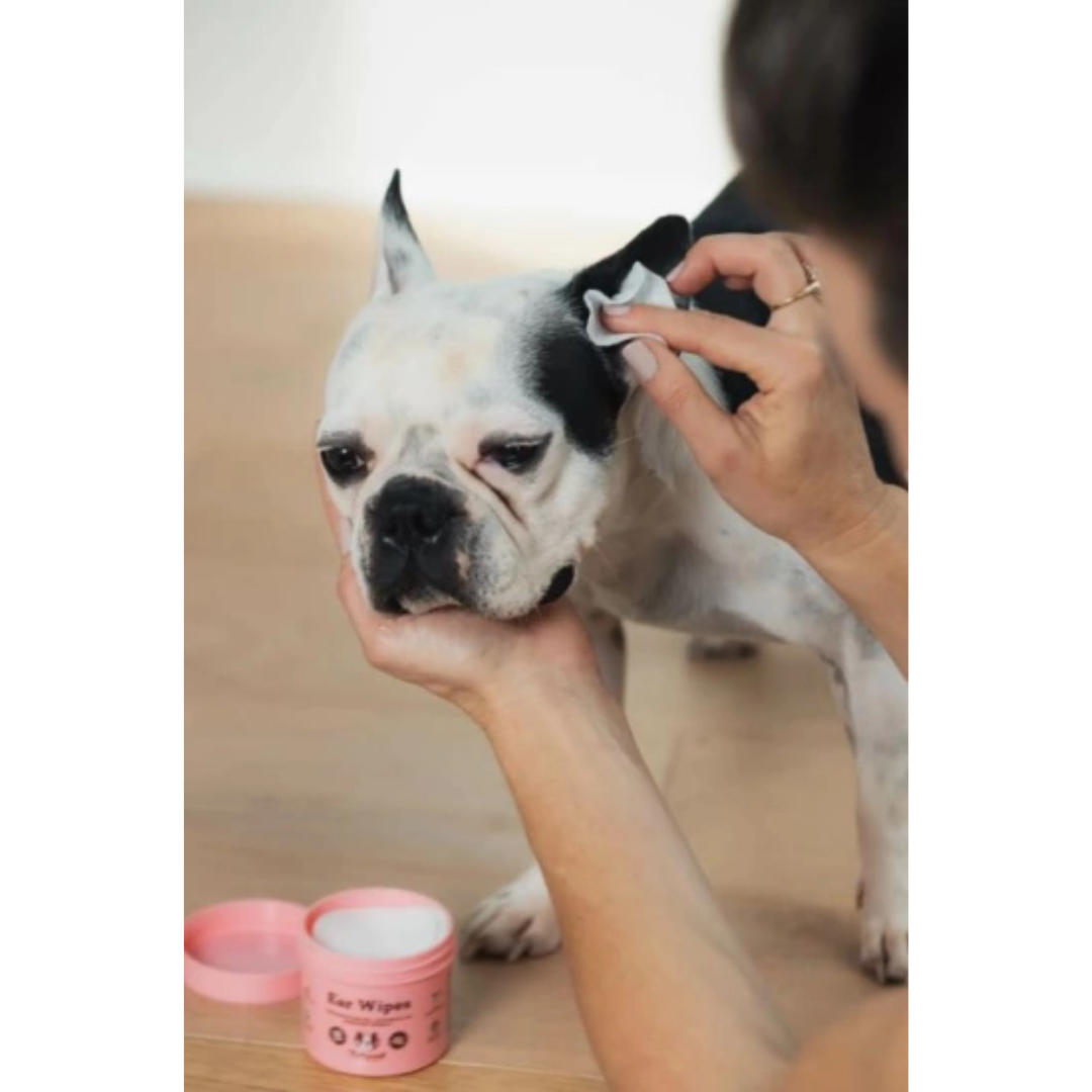 Natural Dog Company Ear Soother Wipes
