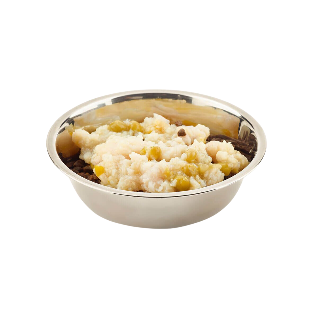 Stainless steel bowl of Fish 4 Dogs Finest White Fish with Pea and Pumpkin complimentary wet food for dogs.