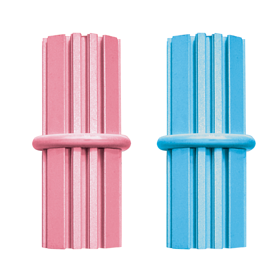 Kong Puppy Toy Teething Stick