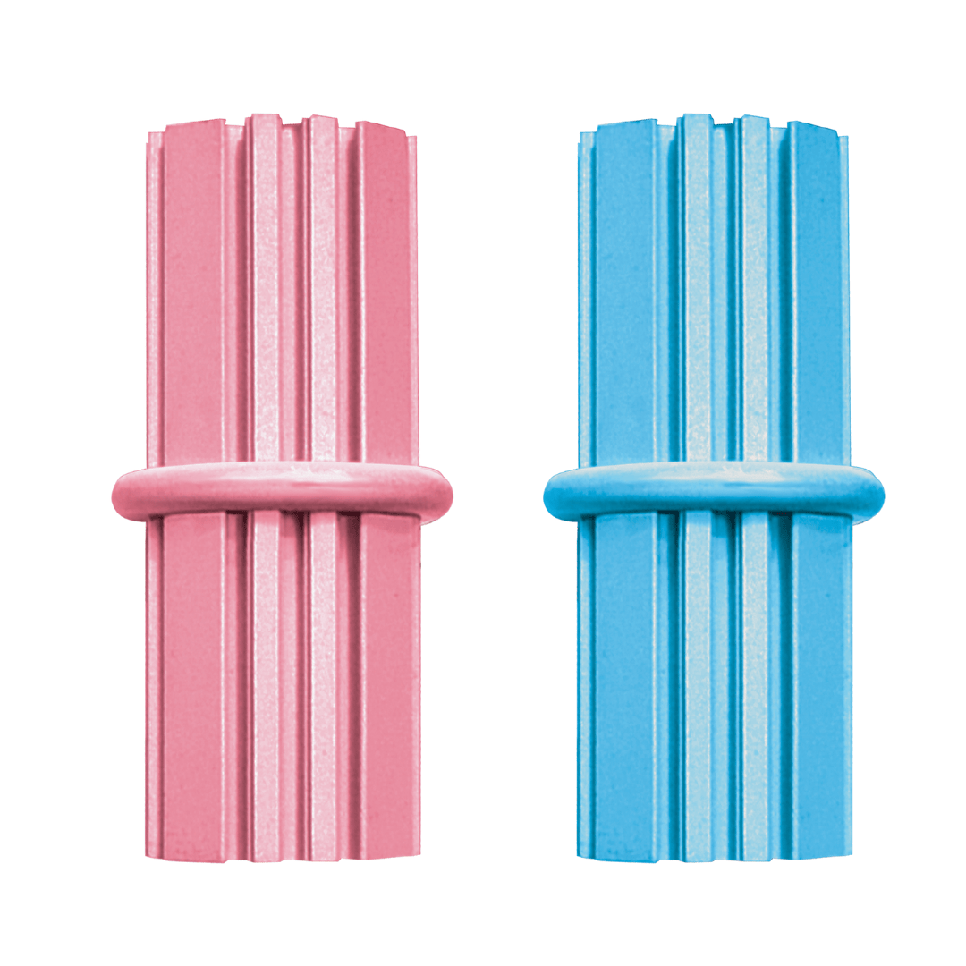 Kong Puppy Toy Teething Stick