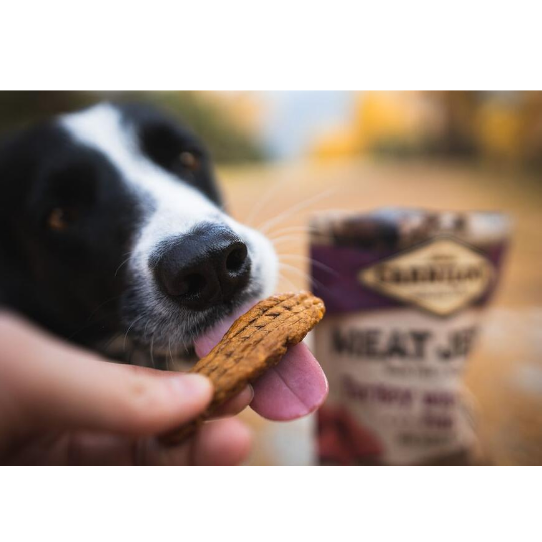 An owner feeding a black and white dog a Carnilove Turkey with Venison jerky treat. he packaging is in the background. The dog has their tongue out in excitement