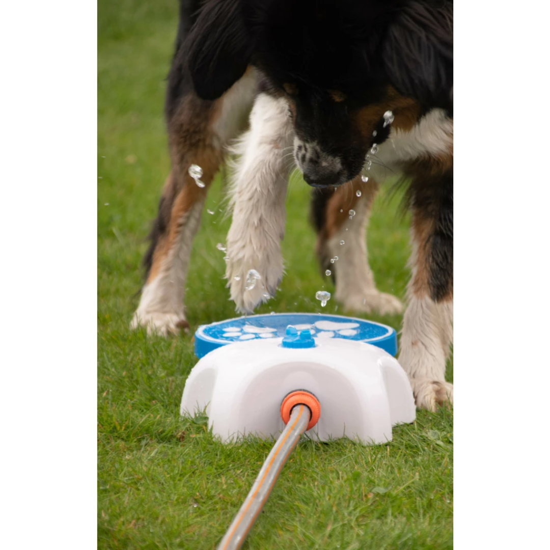Cool Pets Splash Water Fountain