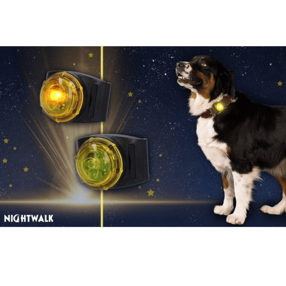 Nightwalk Safety Light