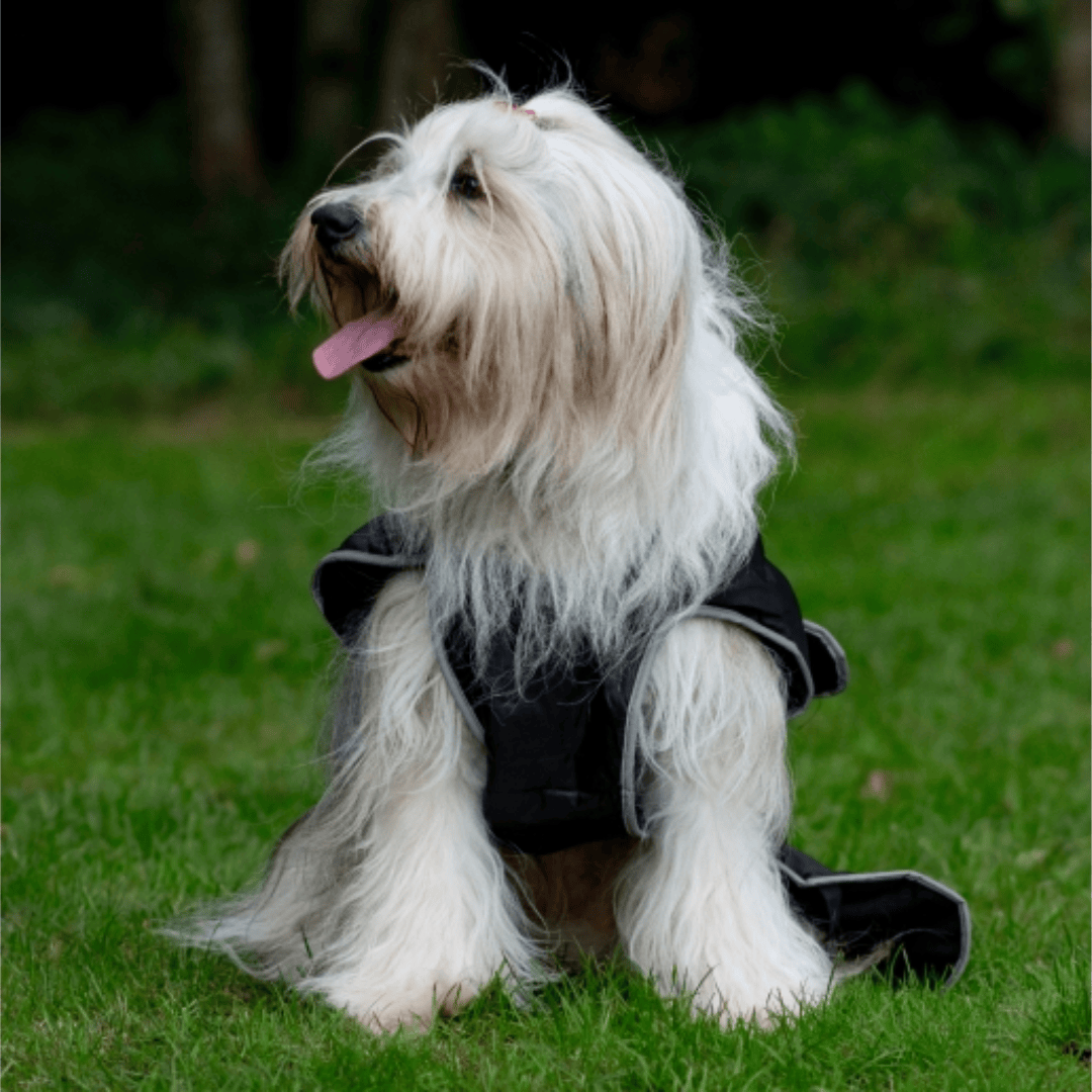 Ancol Stormguard Black Dog Coat