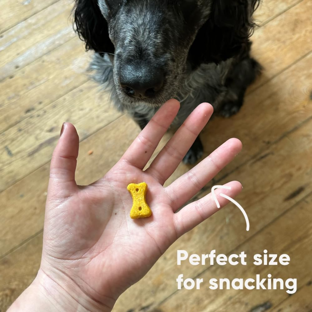 A human hand holding one loose Beco Peanut with Coconut & Turmeric Dog Treat, there is a dog waiting for the treat in the background. "perfect size for snacking" written on the photo