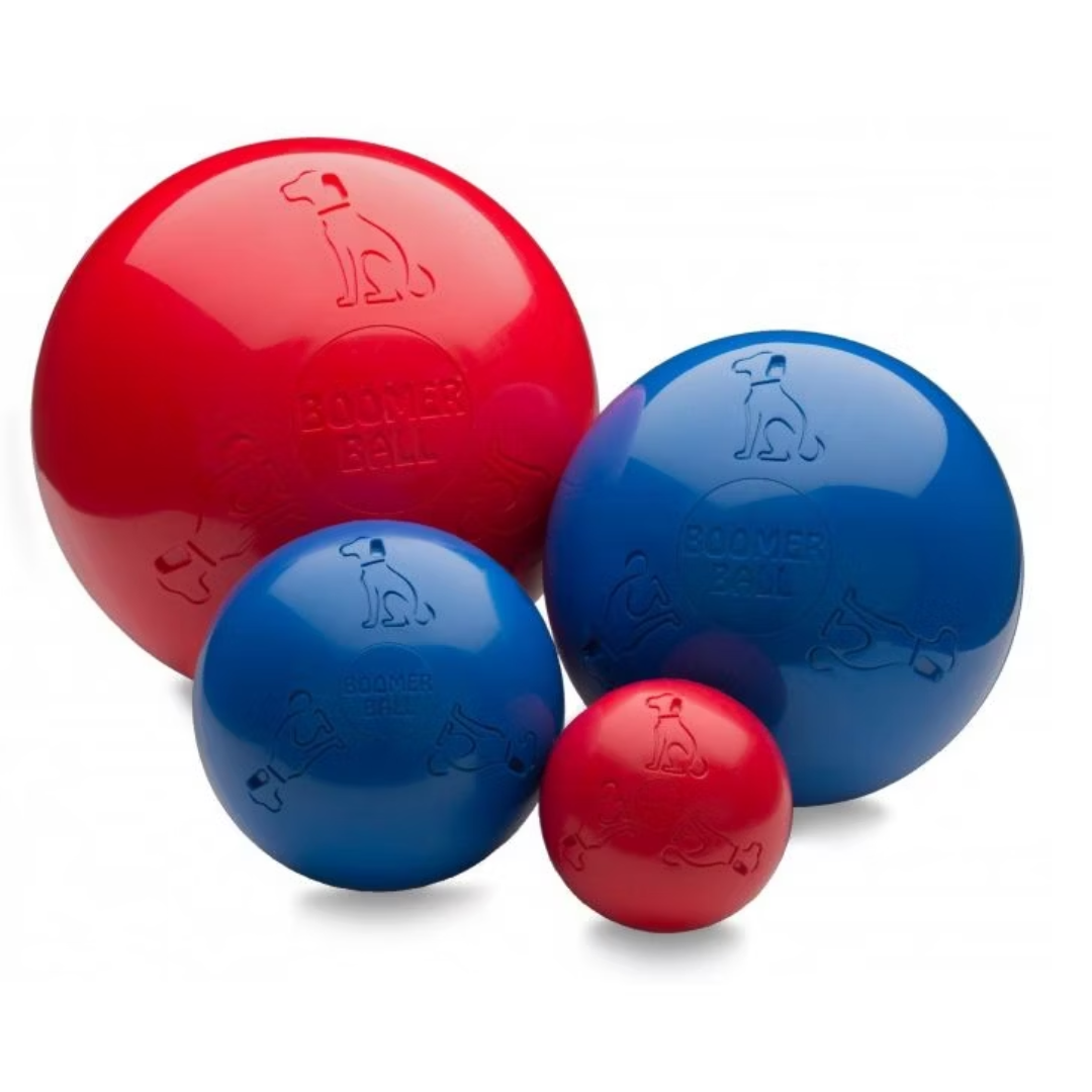 Boomer Ball for Dogs
