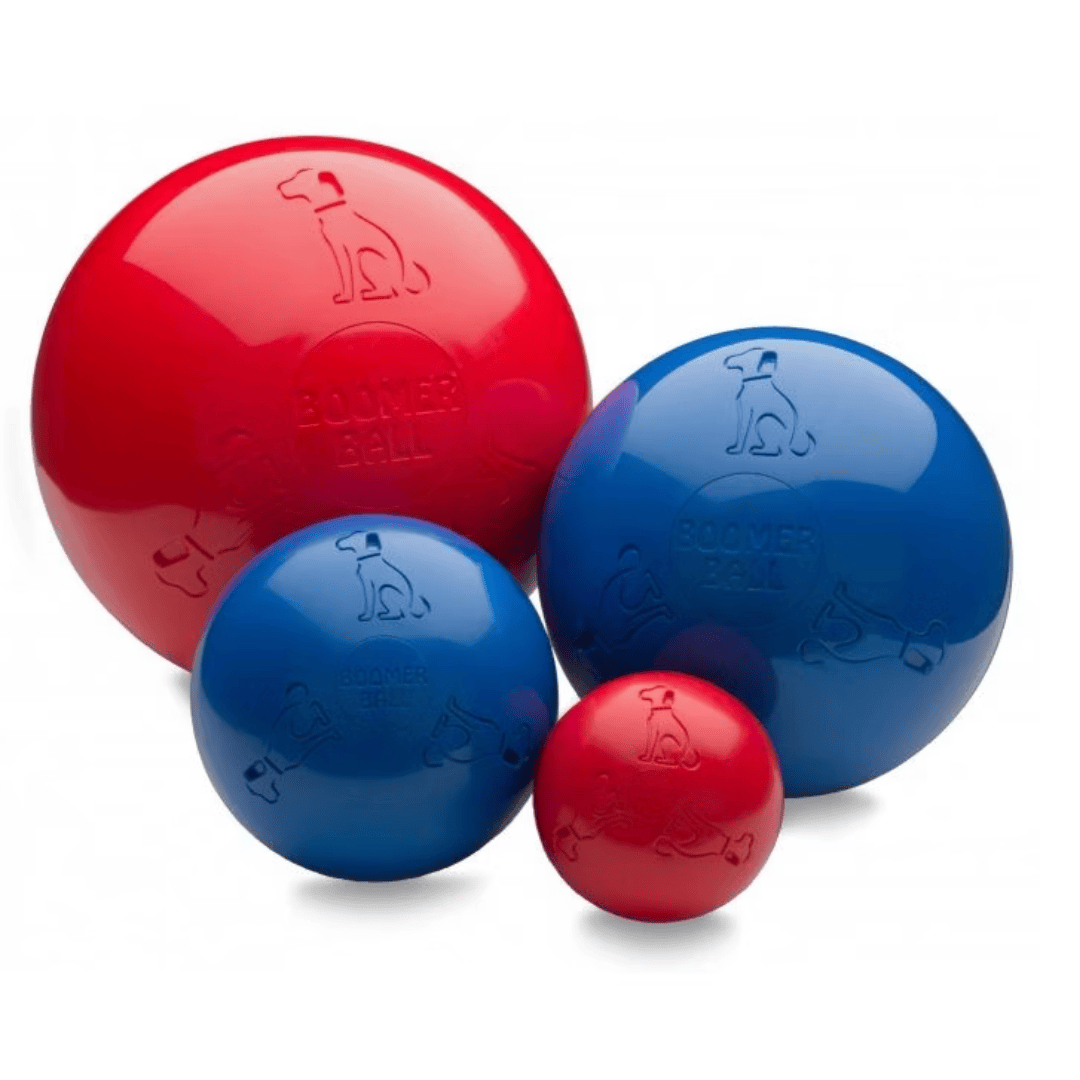 Boomer Ball for Dogs