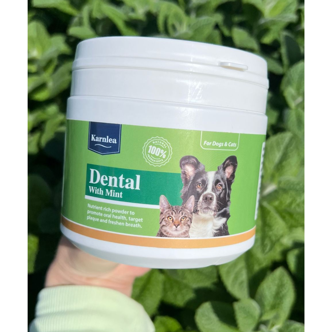 Karnlea Dental with Mint Topper 200g in someone's hand. There are leaves