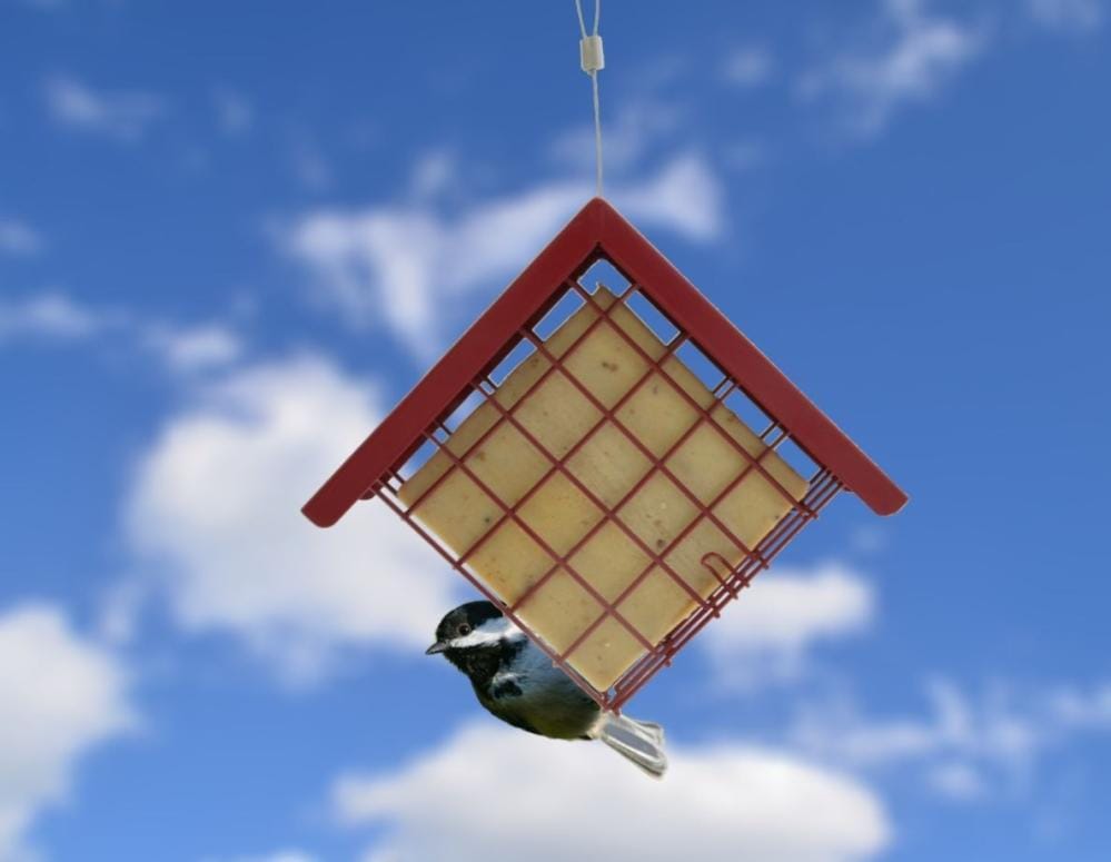 Suet To Go Suet Block With Mealworms 280g