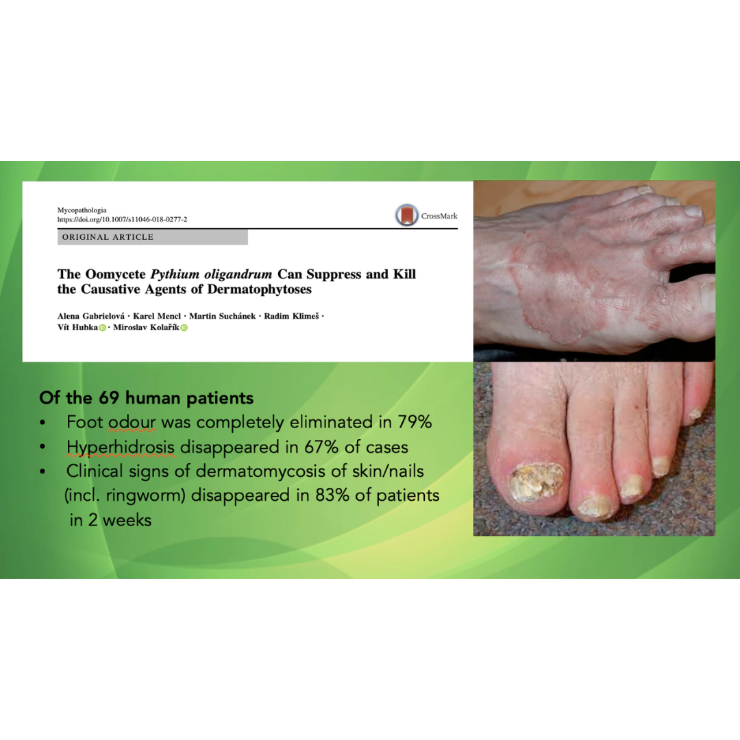 Human results for Phythium Oligandrum