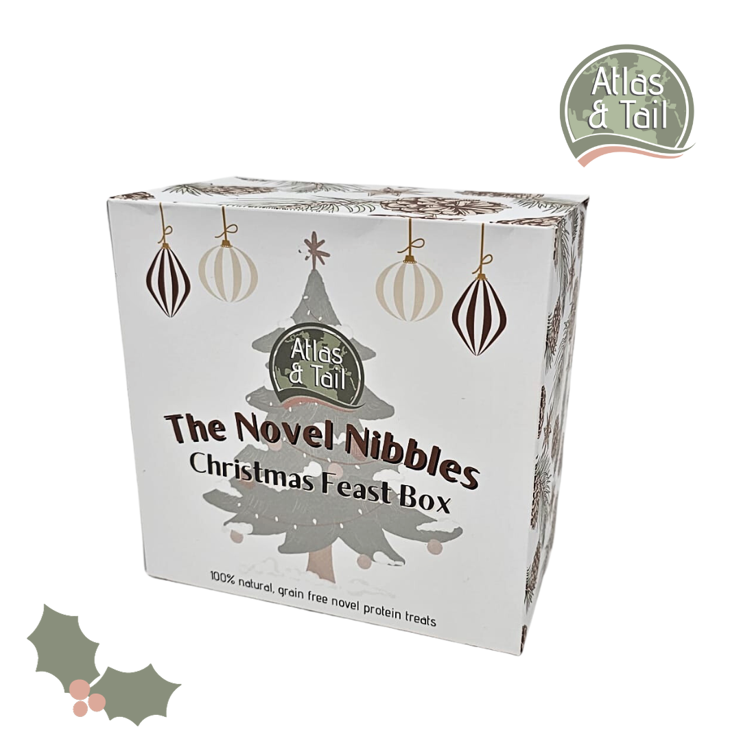 The Novel Nibbles Christmas Feast Box