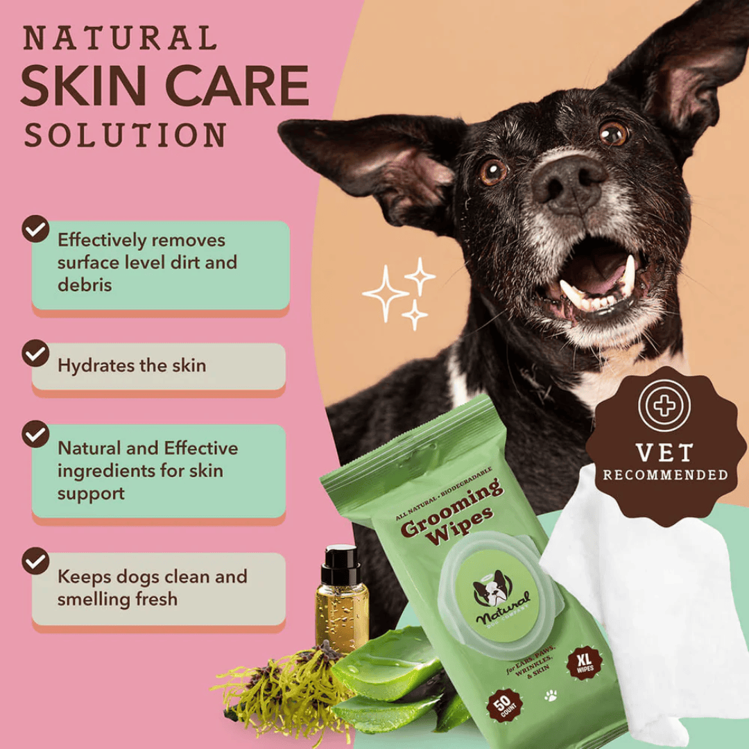 The key benefis of the Packet of Natural Dog Company Grooming Wipes. There are images f a black dog, the wipes and some fresh ingredients like aloe vera. Vet Recommended