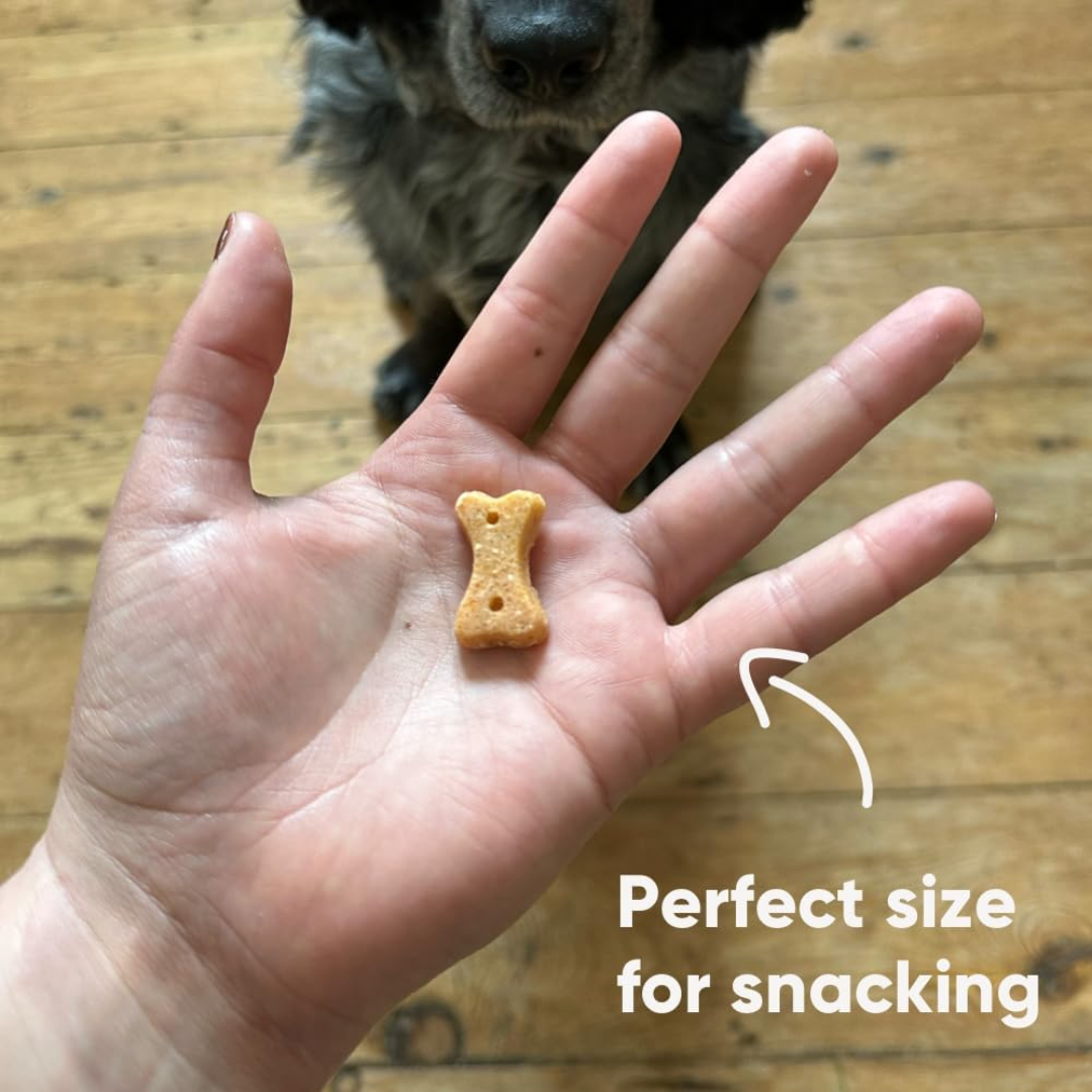Beco Cashew with Pumpkin Seed & Carrot Dog Treats