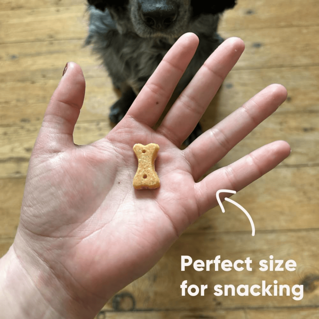 Beco Cashew with Pumpkin Seed & Carrot Dog Treats