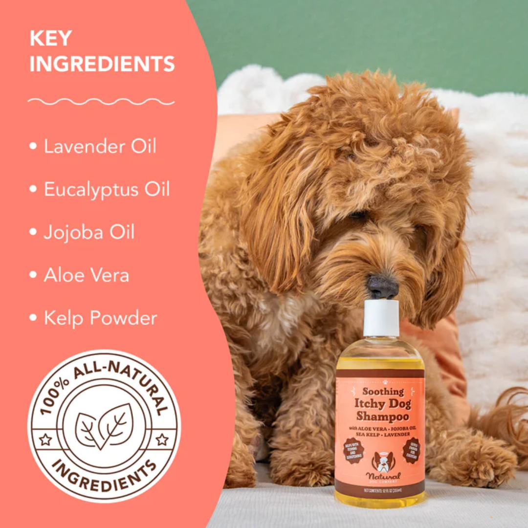 Key Ingredients: Lavender Oil, Eucalyptus Oil, Jojoba Oil, Aloe Vera, Kelp Powder.