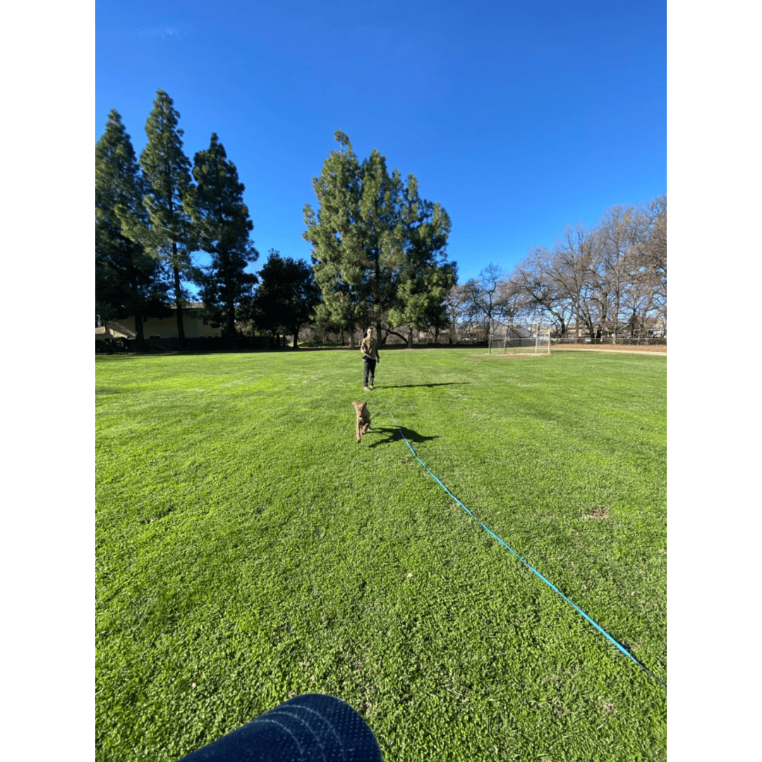 Coachi 10 Meter Training Line