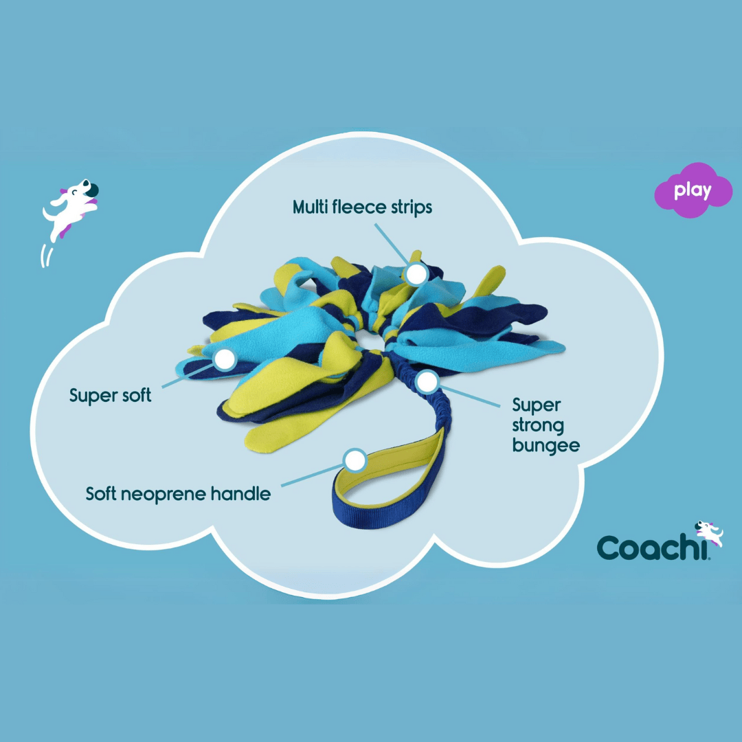 Benefits of Coachi Tuggi Spider