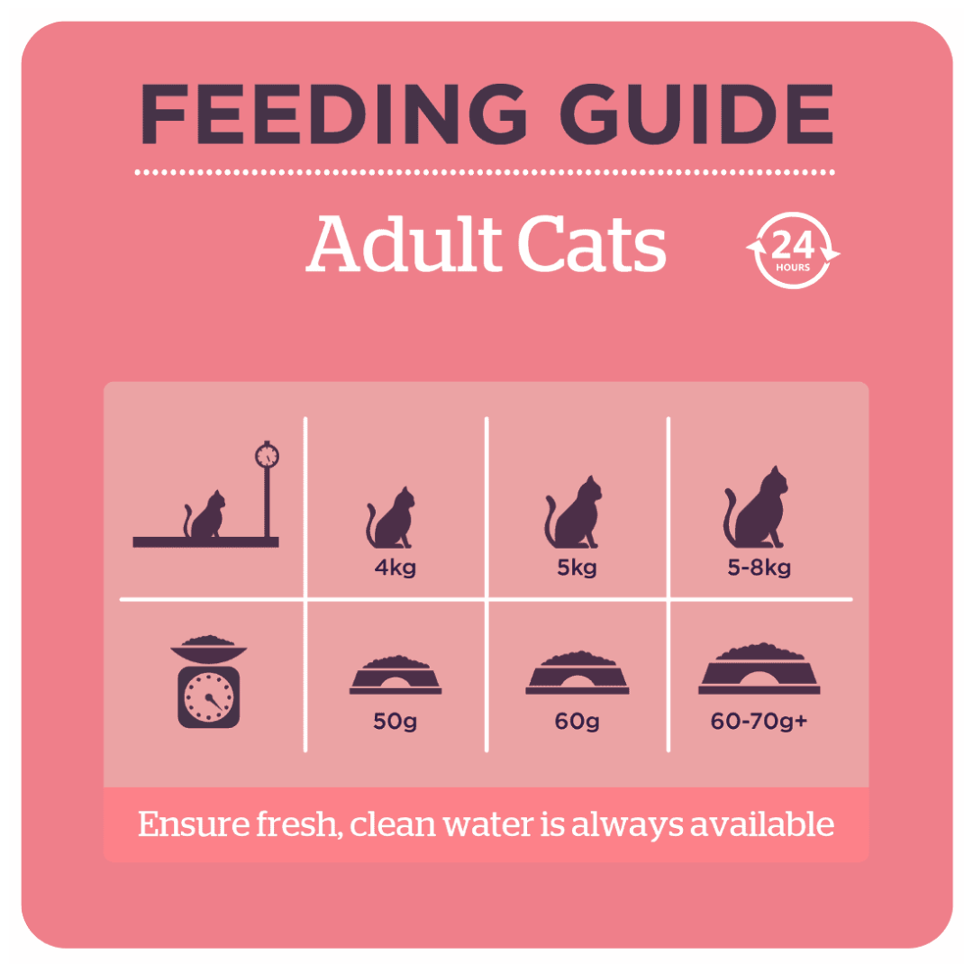 The feeding guidelines for the Burgess Scottish Salmon Cat Food.