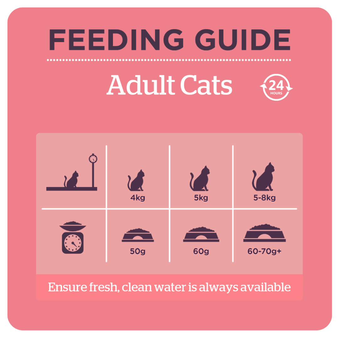 The feeding guidelines for the Burgess Scottish Salmon Cat Food.