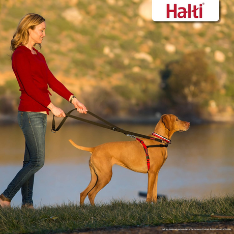 Halti Front Control Harness