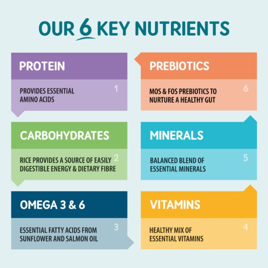 Our 6 Key Ingredients - Protein, Prebiotics, Carbohydrates, Minerals, Omega 3 & 6, Vitamins