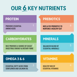 Our 6 Key Ingredients - Protein, Prebiotics, Carbohydrates, Minerals, Omega 3 & 6, Vitamins