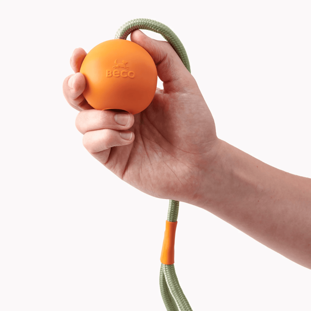 The hand of a person holding the Beco Orange Rubber Slinger Ball