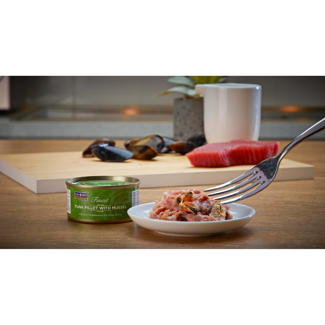 The Fish 4 Cats Tuna with Green Lipped Mussel 70g served on a plate, the tuna and chunky mussels are clear to see. There is Tuna and mussels on display in the background.