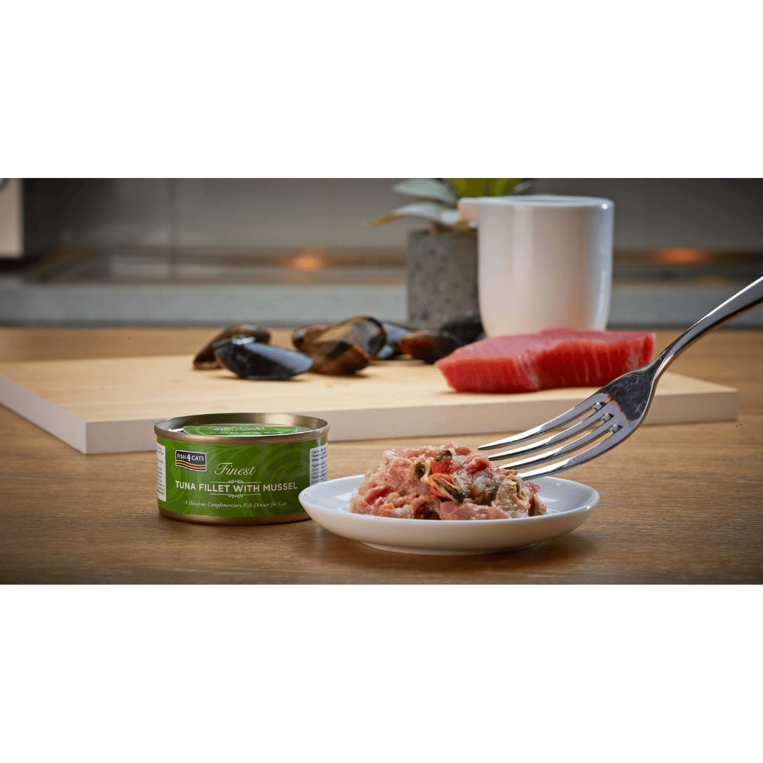 The Fish 4 Cats Tuna with Green Lipped Mussel 70g served on a plate, the tuna and chunky mussels are clear to see. There is Tuna and mussels on display in the background.