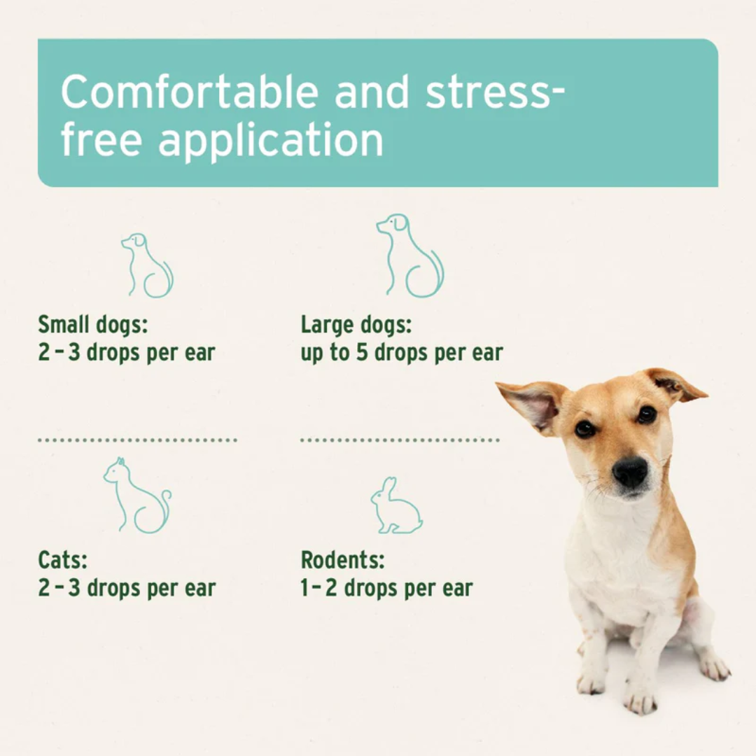 Guidelines of use for the Aniforte Ear Mite Oil. Guidelines provided for dogs, cats and rodents.