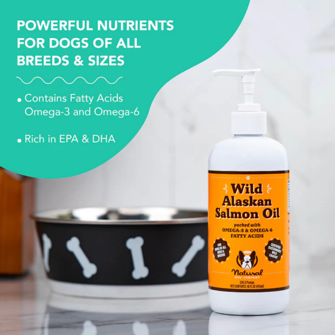 Powerful nutrients for dogs of all breeds and sizes